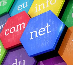 What is .net Domain Used For?