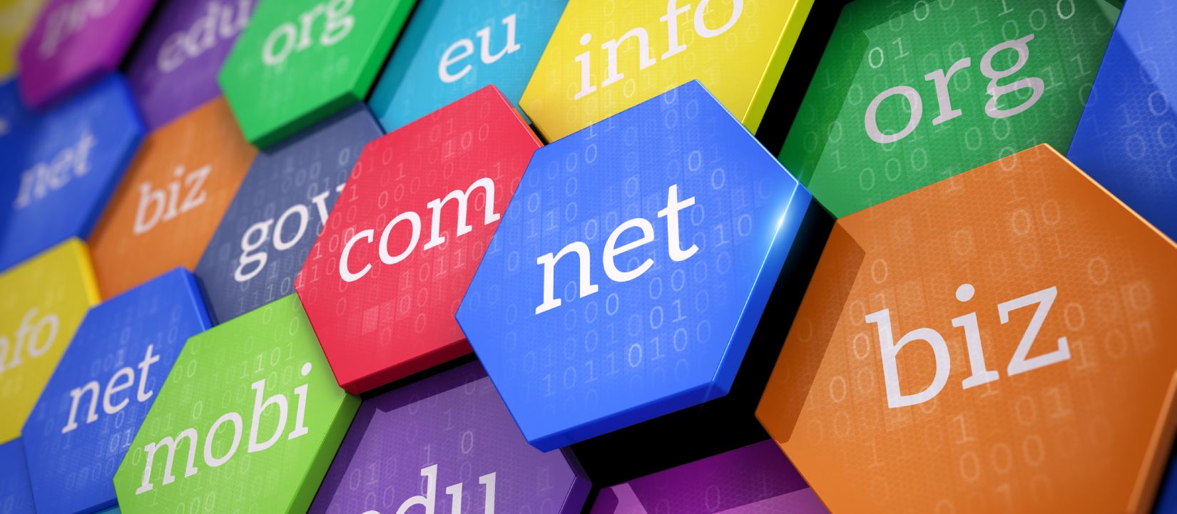 .net Domain Ne İçin Kullanılır?
