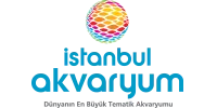 İstanbul’un en çok ziyaret edilen akvaryumu olmak.