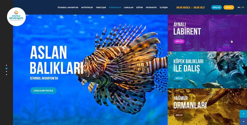 İstanbul’un en çok ziyaret edilen akvaryumu olmak.