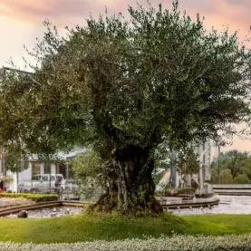 İstinye Park GYO